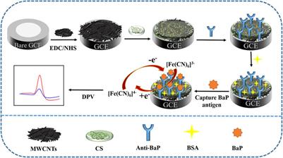 Detection of BaP in seawater based on multi-walled carbon nanotubes composites immunosenor